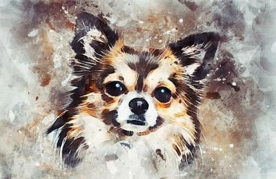 Why Do You Need A Custom Pet Portrait?