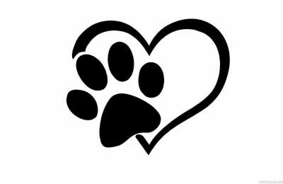 7 Kinds of Unique Dog Paw Print Artwork