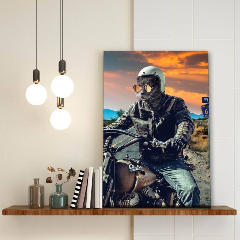 Motorcycle Rider Funny Cat Portraits Vogue Dog Portrait