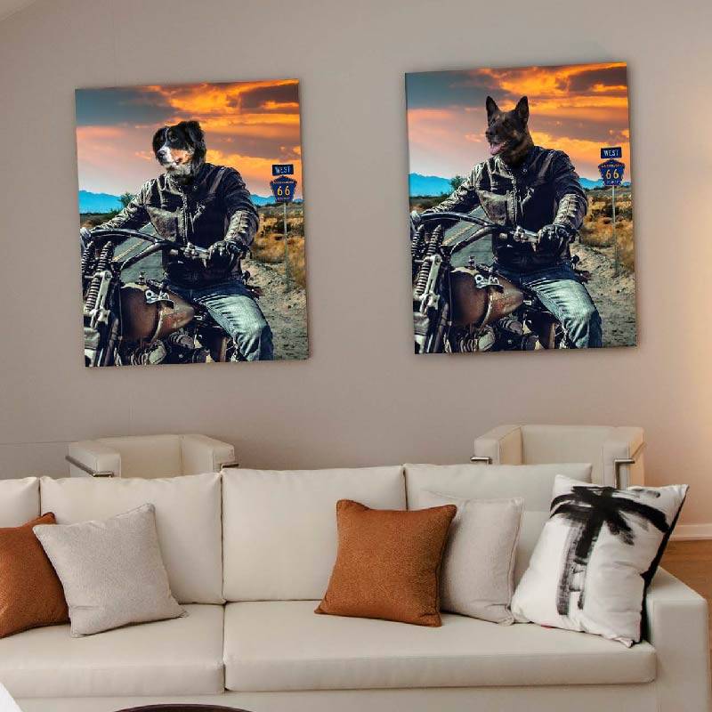 Motorcycle Rider Funny Cat Portraits Vogue Dog Portrait