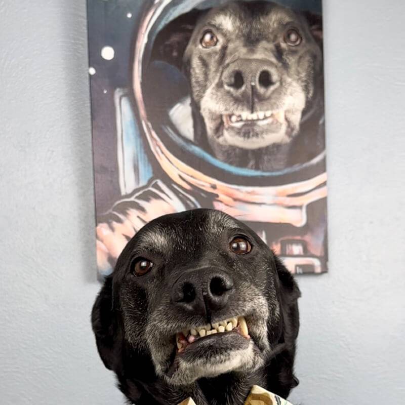 Astronaut Dog Portrait Custom Cute Pet Portrait Canvas