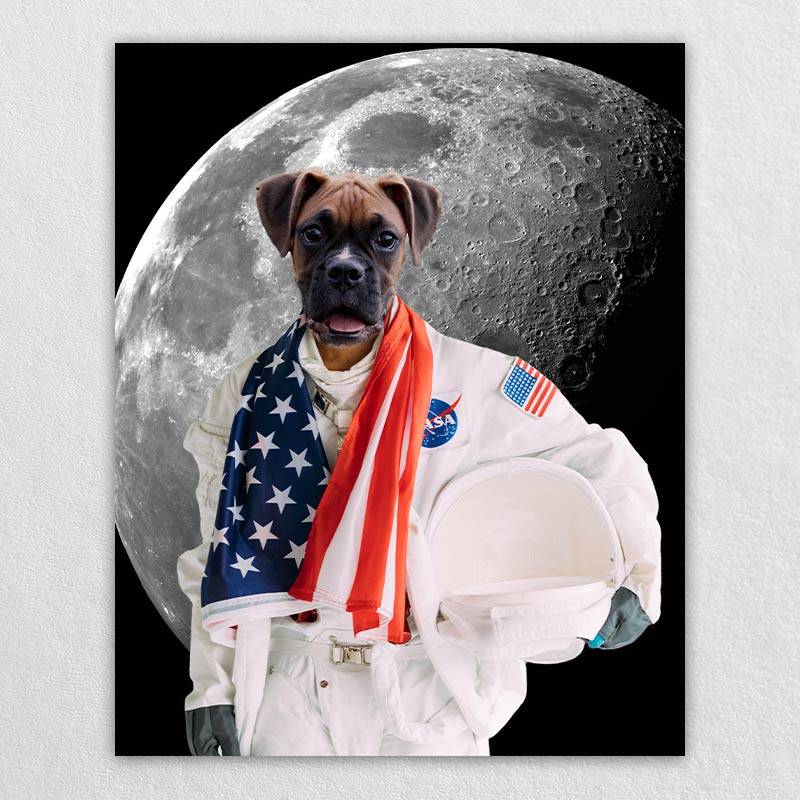 Pets In Astronaut Costume Portraits Cool Animal Portraits