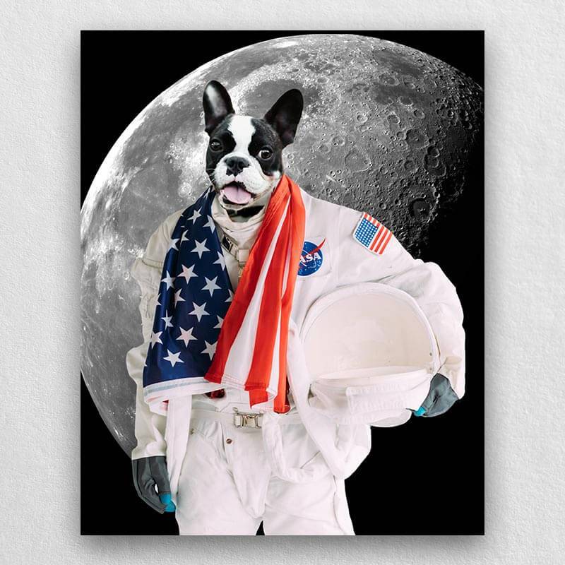 Pets In Astronaut Costume Portraits Cool Animal Portraits