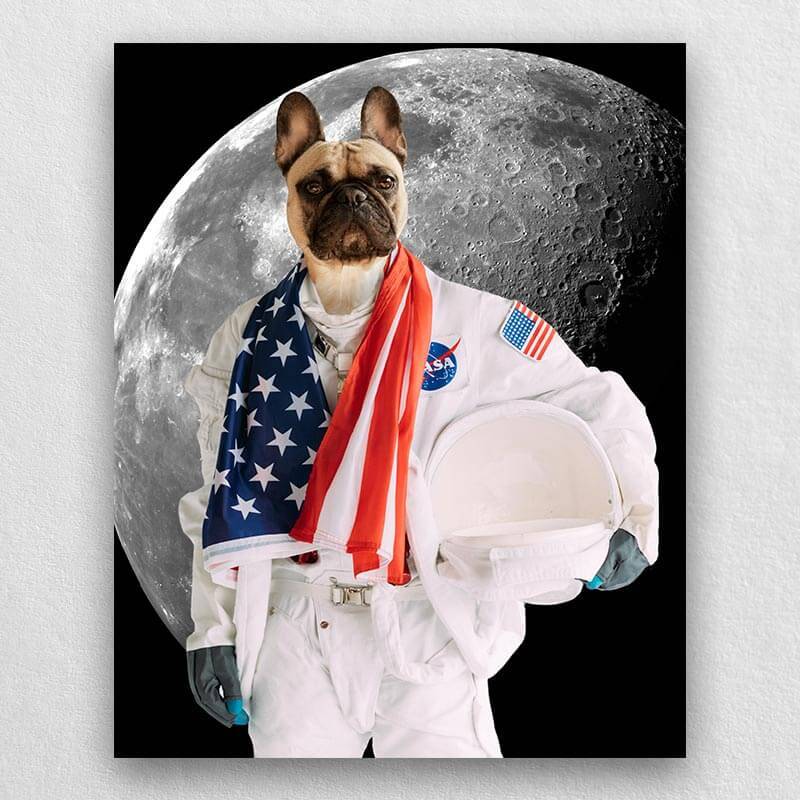 Pets In Astronaut Costume Portraits Cool Animal Portraits