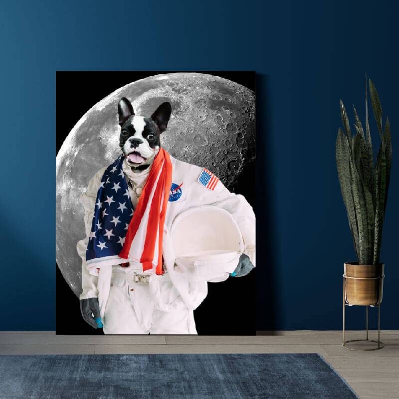 Pets In Astronaut Costume Portraits Cool Animal Portraits