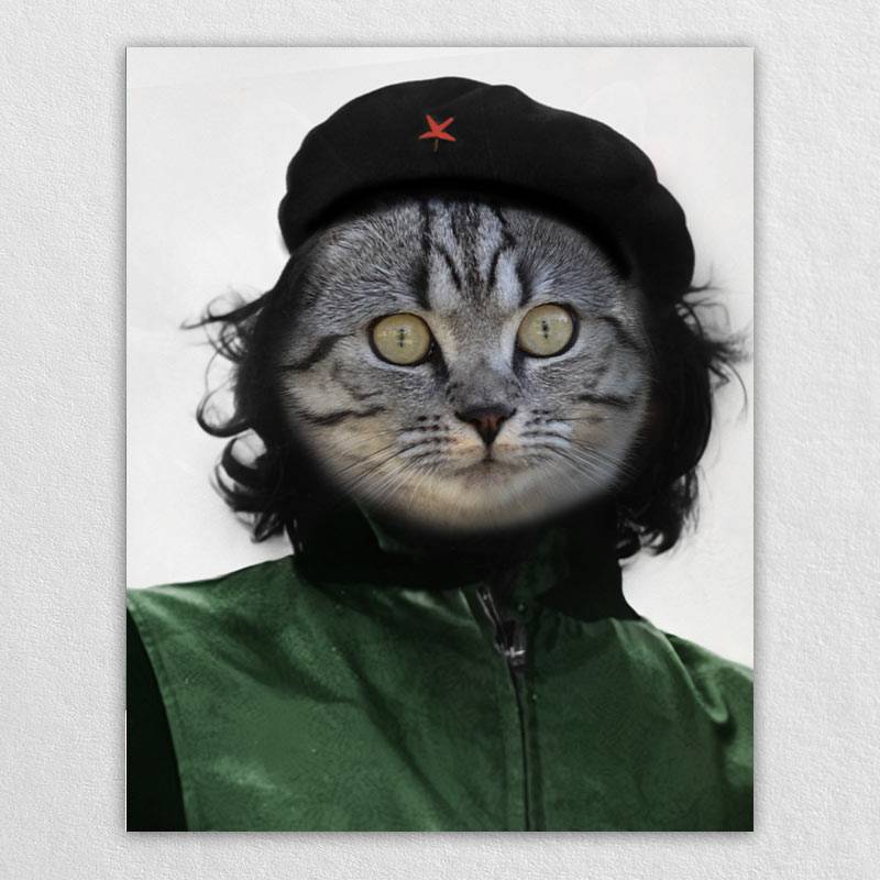 Heroic Guerrilla Fighter Custom Realistic Pet Portraits