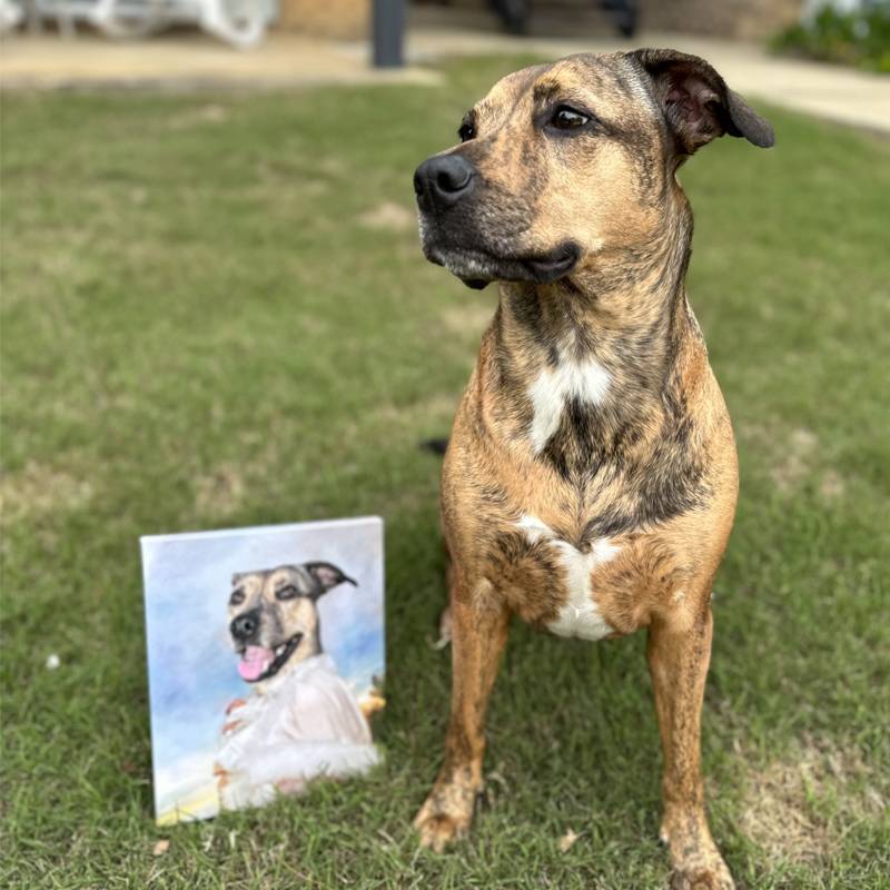 Classy Lady Pet Portraits Personalized Dog Paintings On Canvas