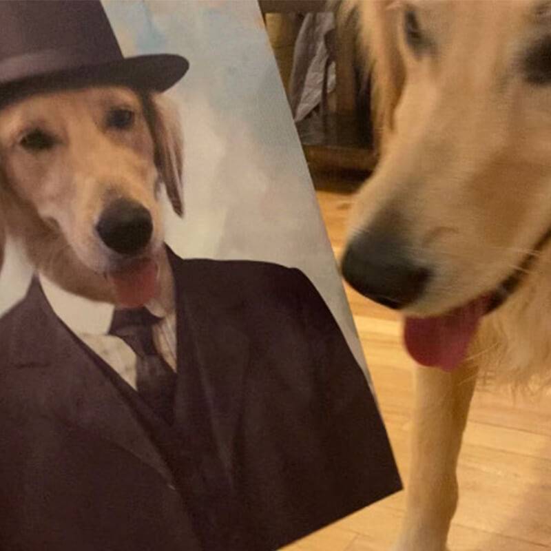 Pet In Suit With Hat Portrait Pet Creations Art