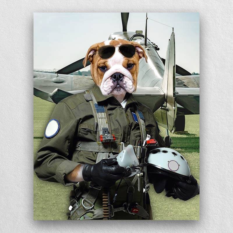 Pilot Pet Portrait Animal Head Portraits