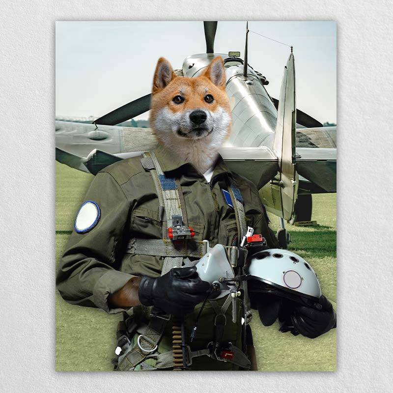 Pilot Pet Portrait Animal Head Portraits