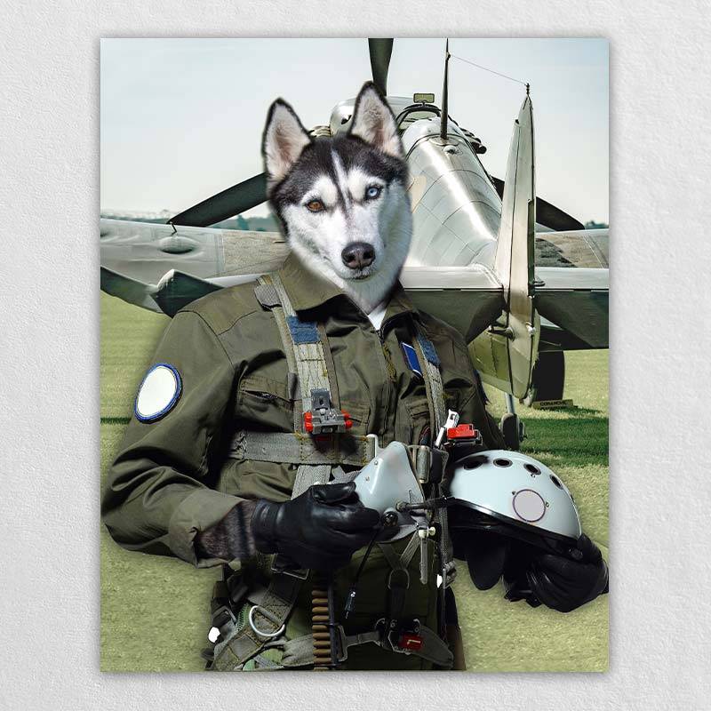 Pilot Pet Portrait Animal Head Portraits