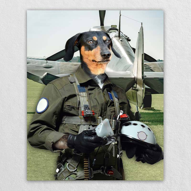 Pilot Pet Portrait Animal Head Portraits