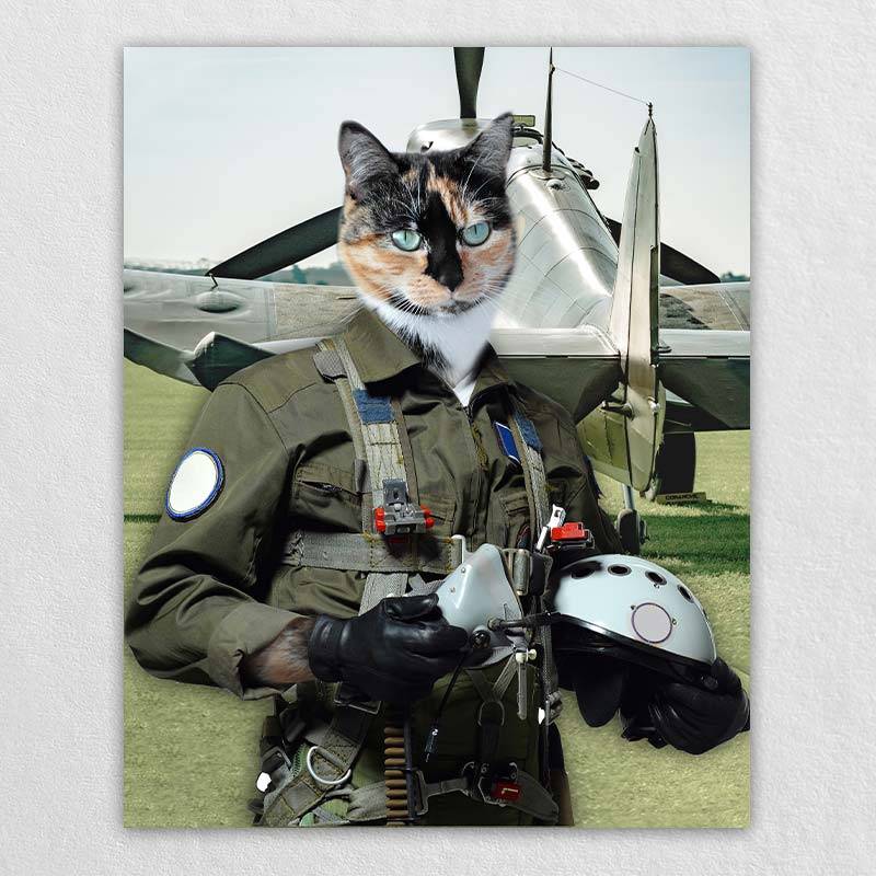 Pilot Pet Portrait Animal Head Portraits