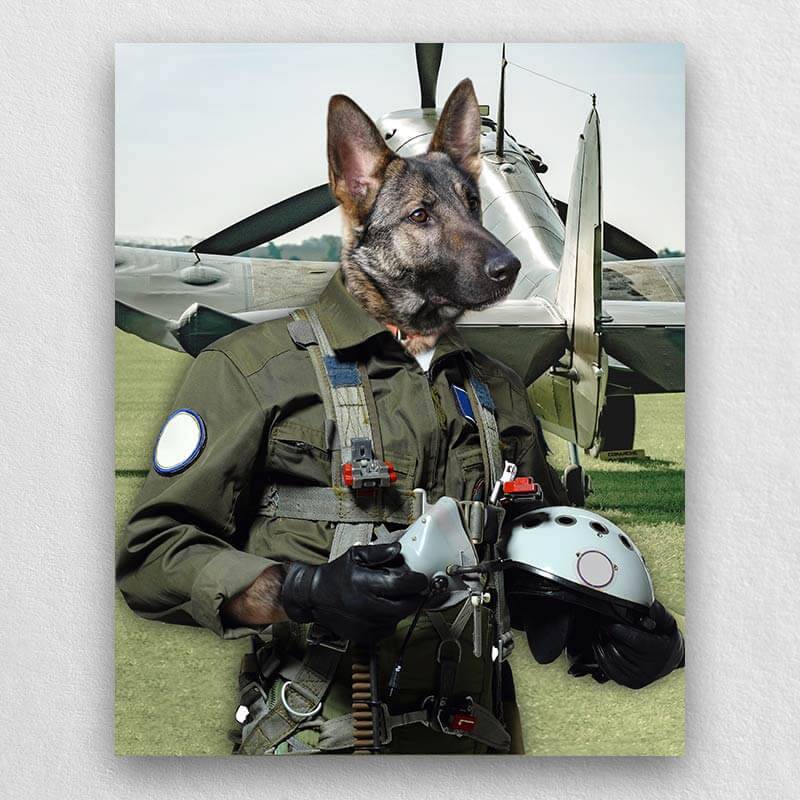 Pilot Pet Portrait Animal Head Portraits