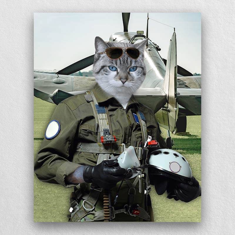 Pilot Pet Portrait Animal Head Portraits