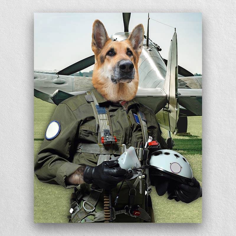 Pilot Pet Portrait Animal Head Portraits