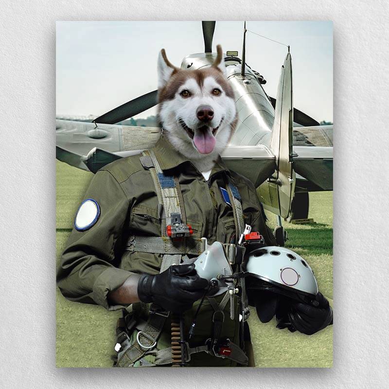 Pilot Pet Portrait Animal Head Portraits