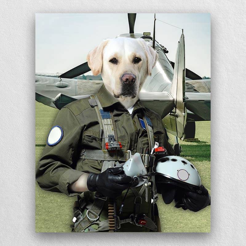 Pilot Pet Portrait Animal Head Portraits