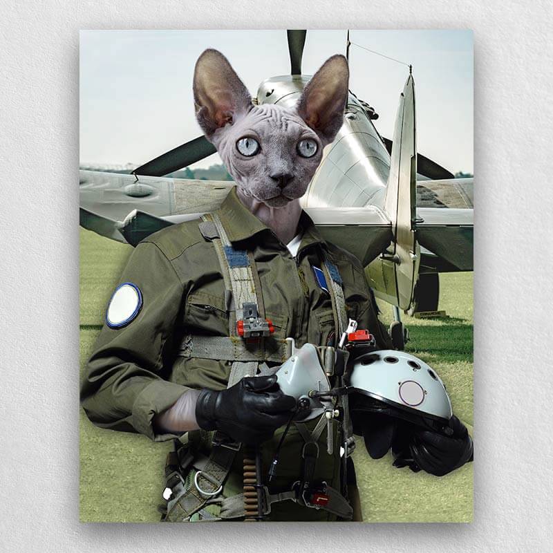 Pilot Pet Portrait Animal Head Portraits