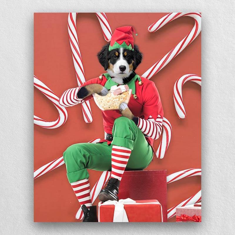 Holiday Pet Portraits Funny Pet Canvas