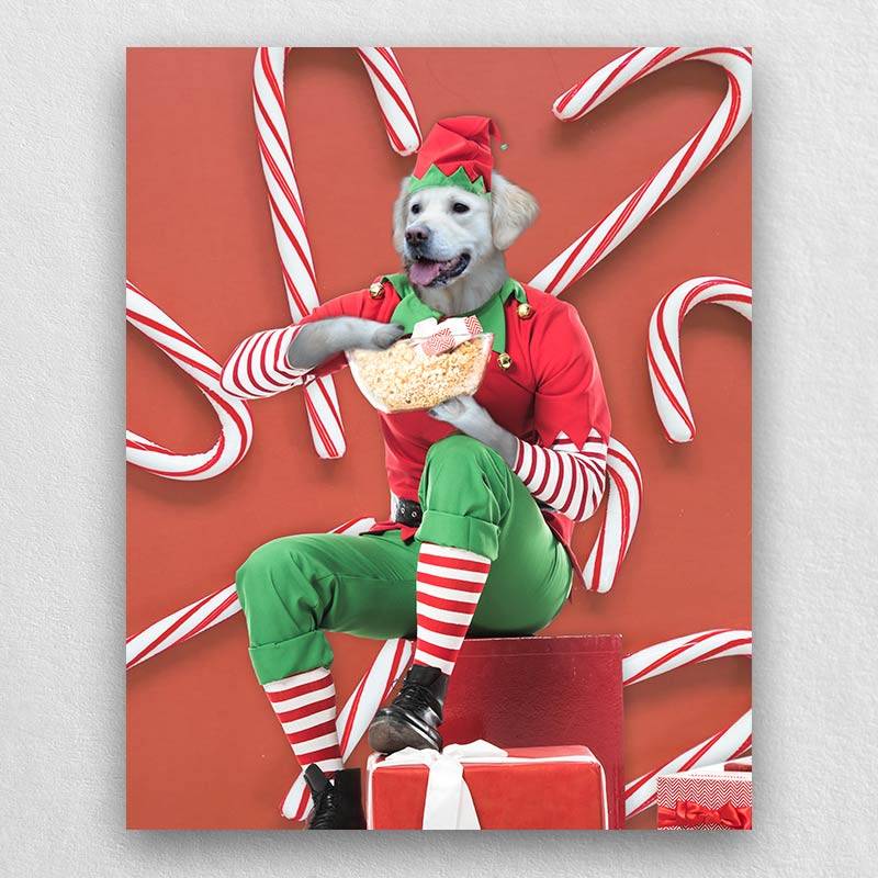 Holiday Pet Portraits Funny Pet Canvas