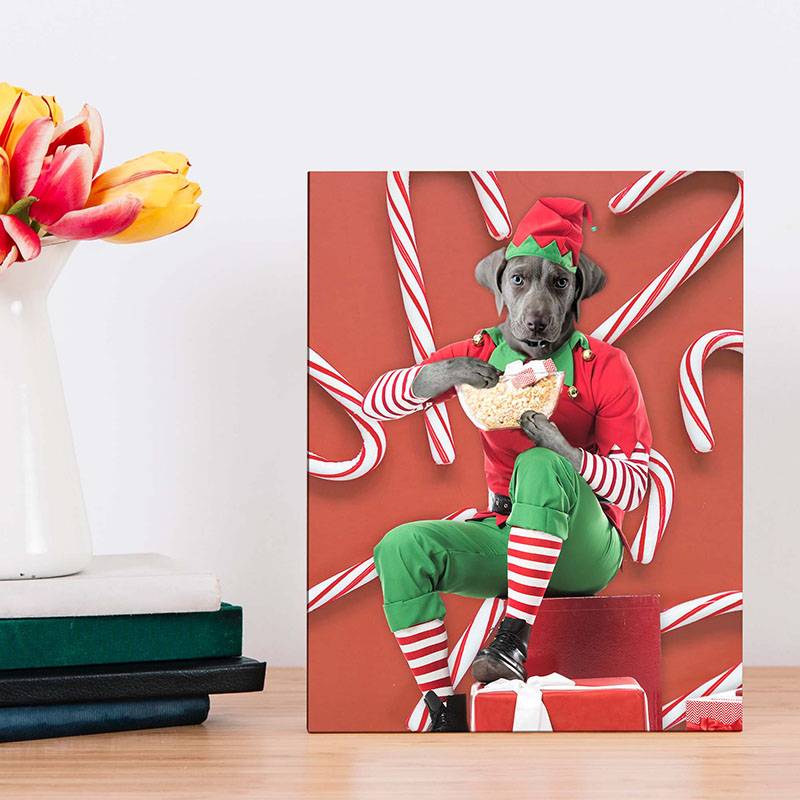 Holiday Pet Portraits Funny Pet Canvas