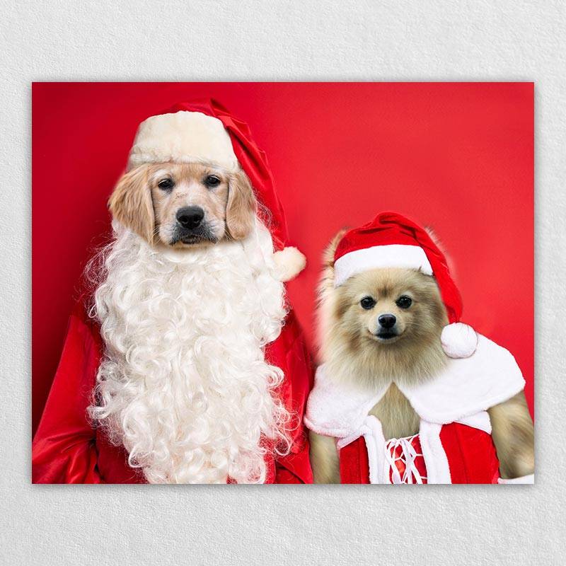 Christmas Pet Portraits In Costume