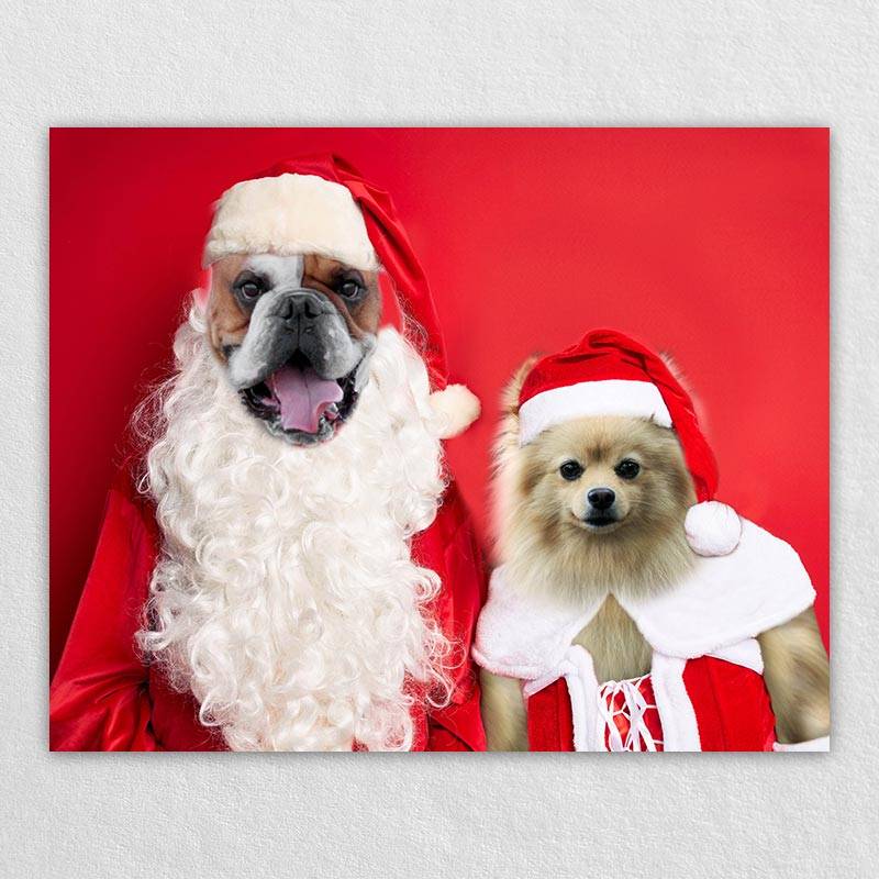 Christmas Pet Portraits In Costume