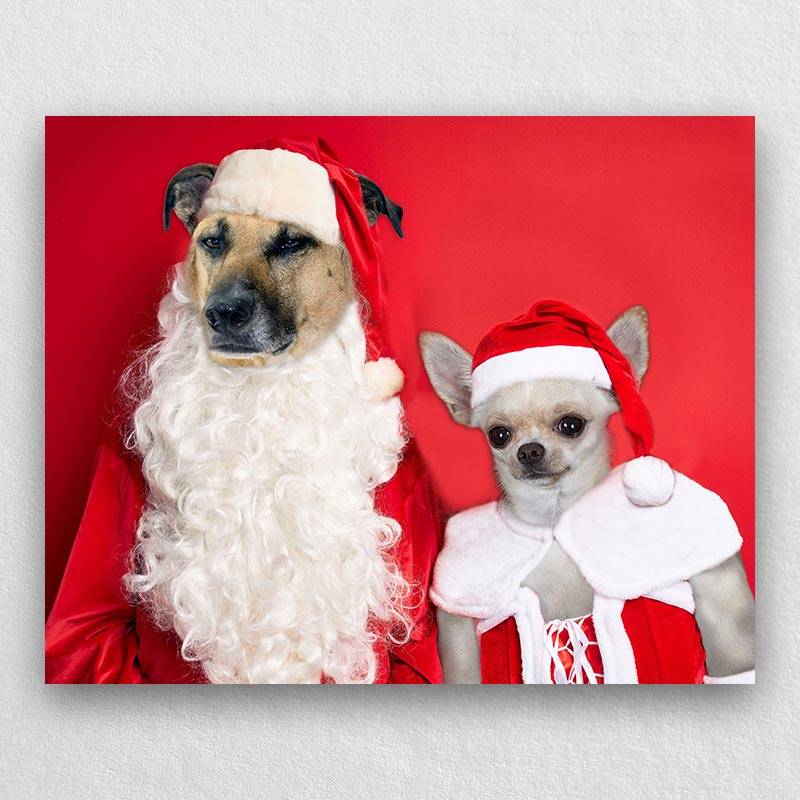 Christmas Pet Portraits In Costume