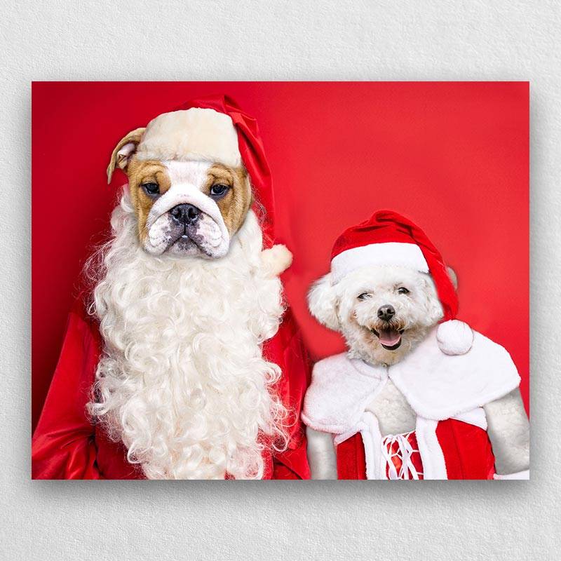 Christmas Pet Portraits In Costume