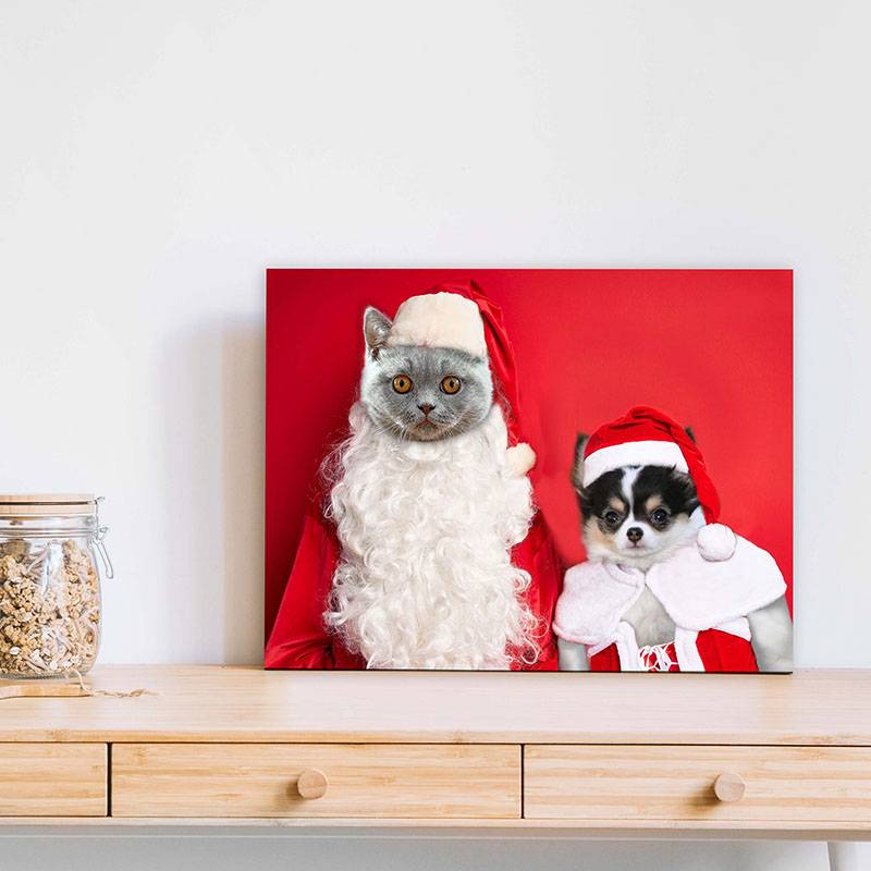 Christmas Pet Portraits In Costume