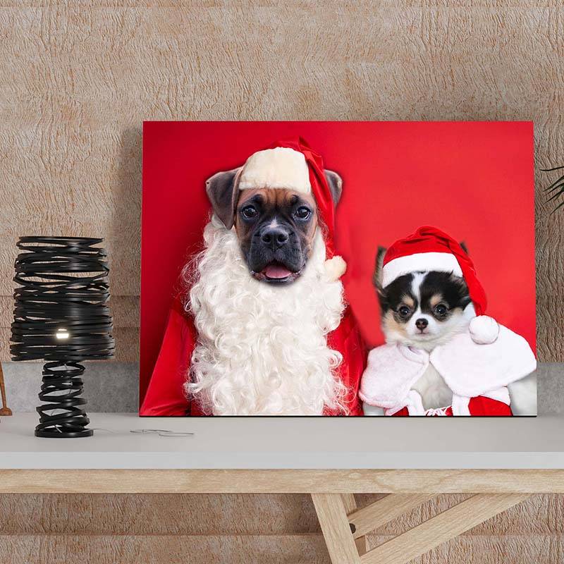 Christmas Pet Portraits In Costume