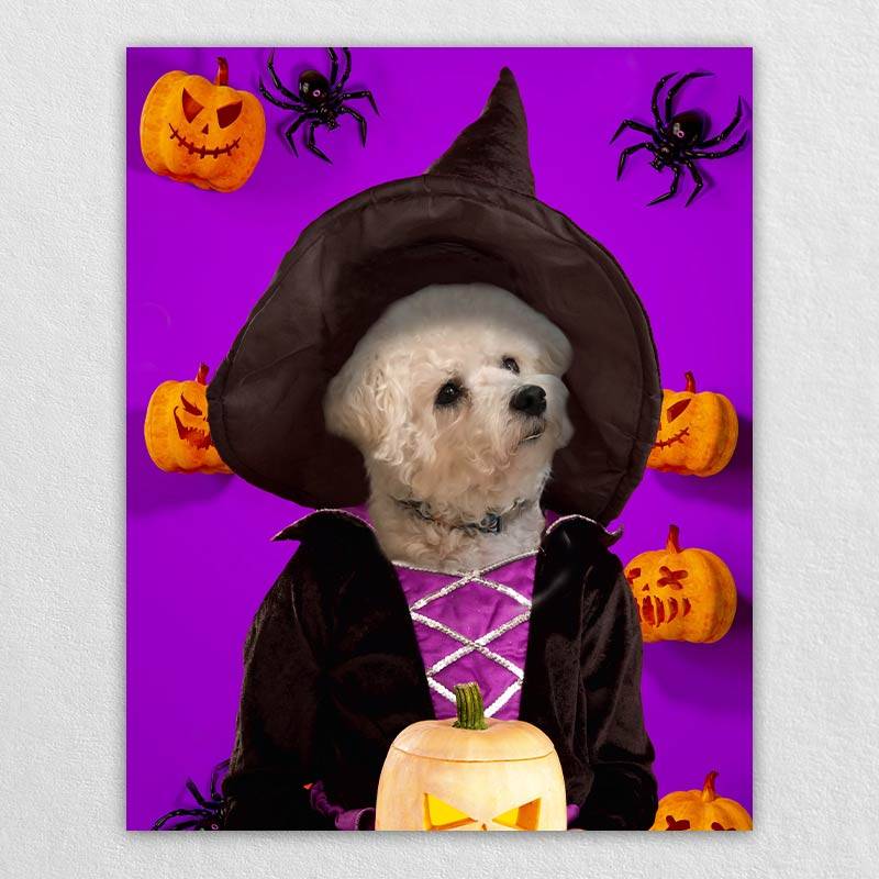 Witch Pets In Costume Portraits