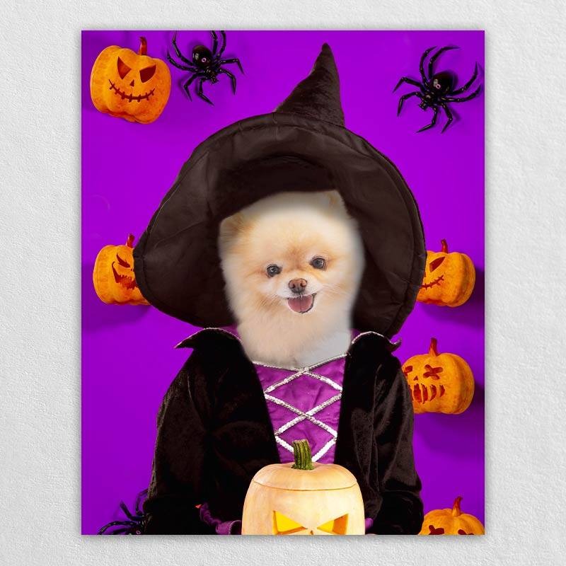 Witch Pets In Costume Portraits