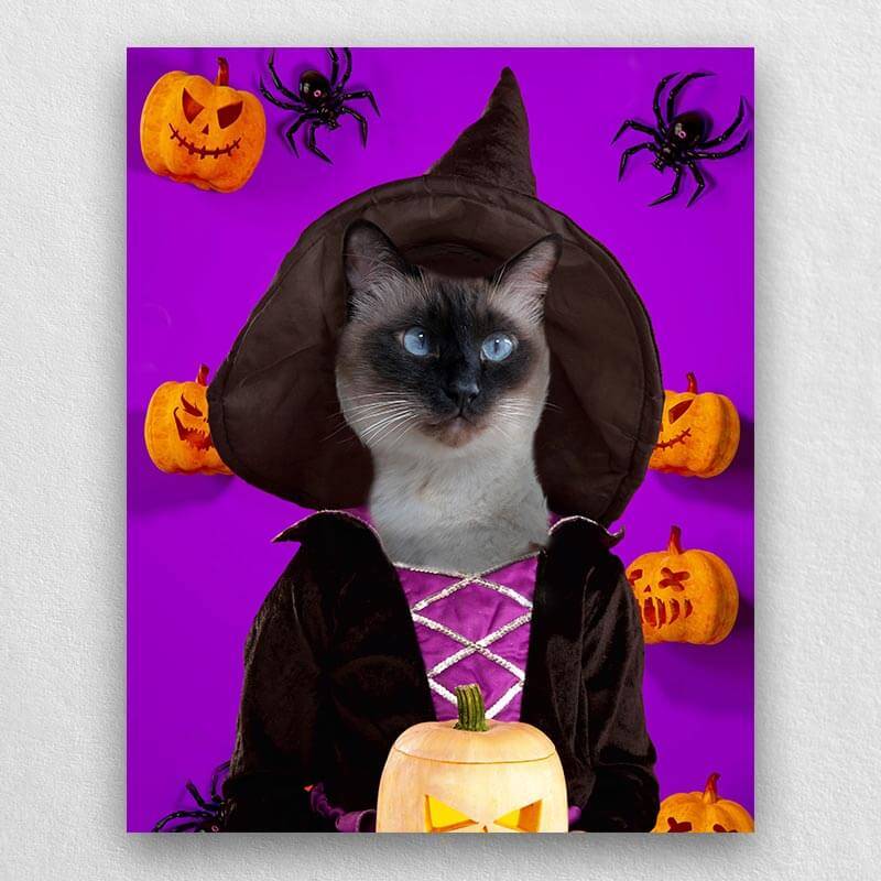 Witch Pets In Costume Portraits