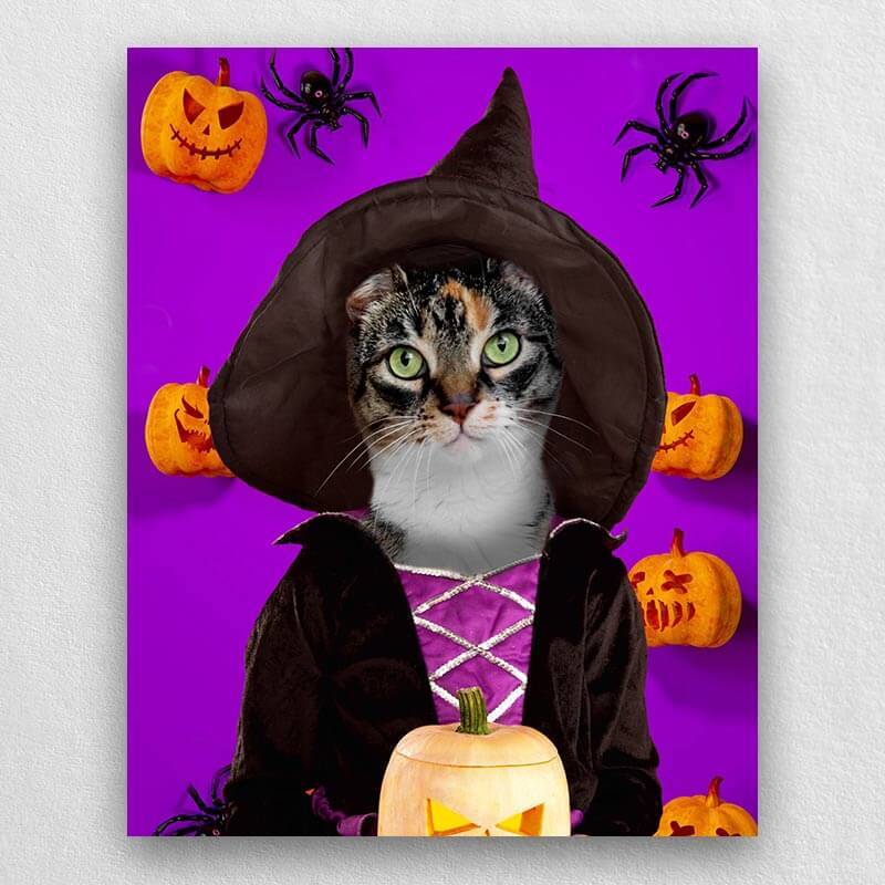 Witch Pets In Costume Portraits