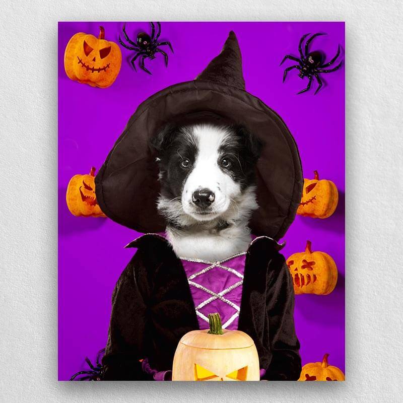 Witch Pets In Costume Portraits