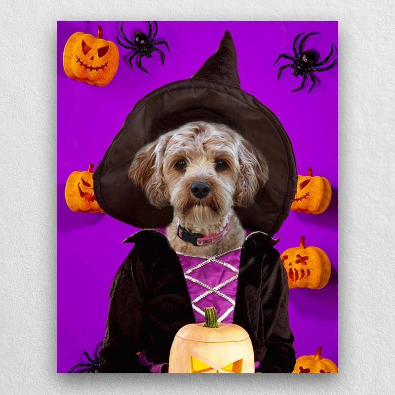 Witch Pets In Costume Portraits