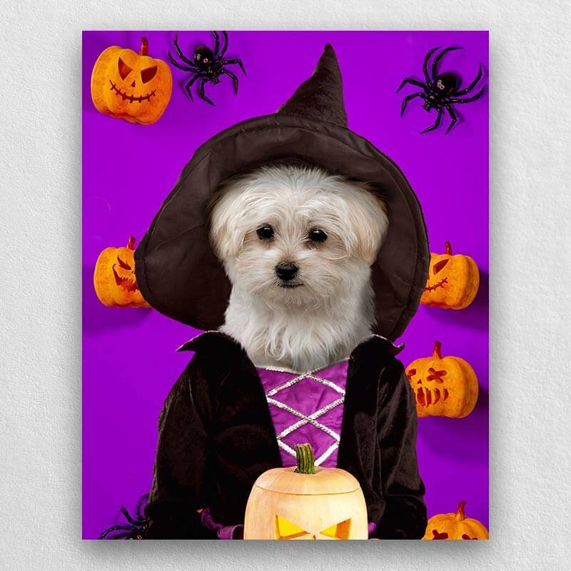 Witch Pets In Costume Portraits