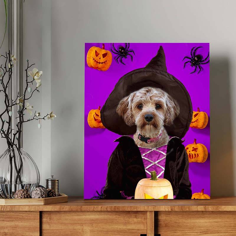 Witch Pets In Costume Portraits