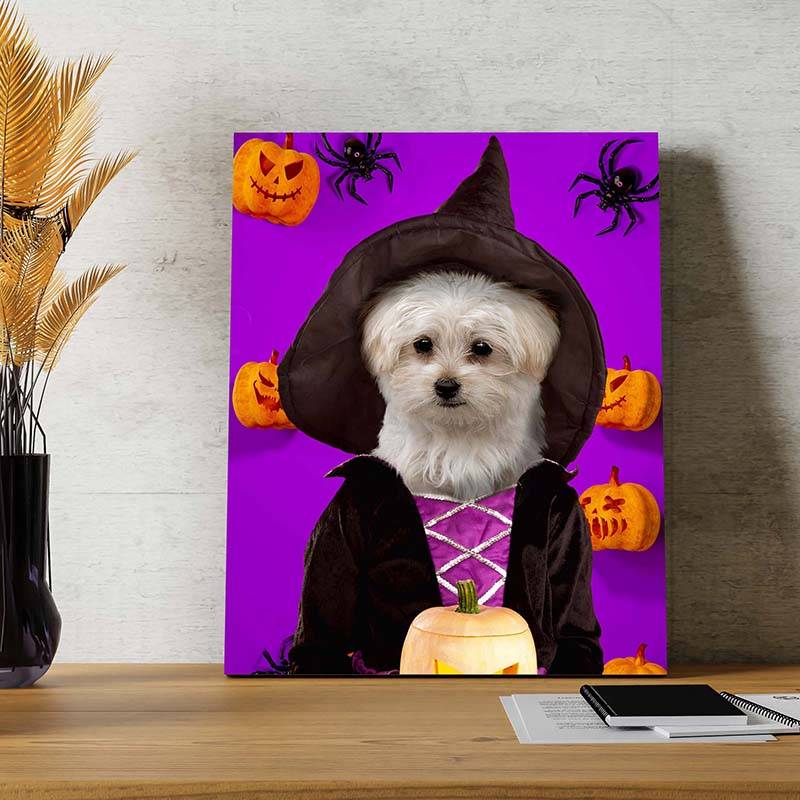 Witch Pets In Costume Portraits