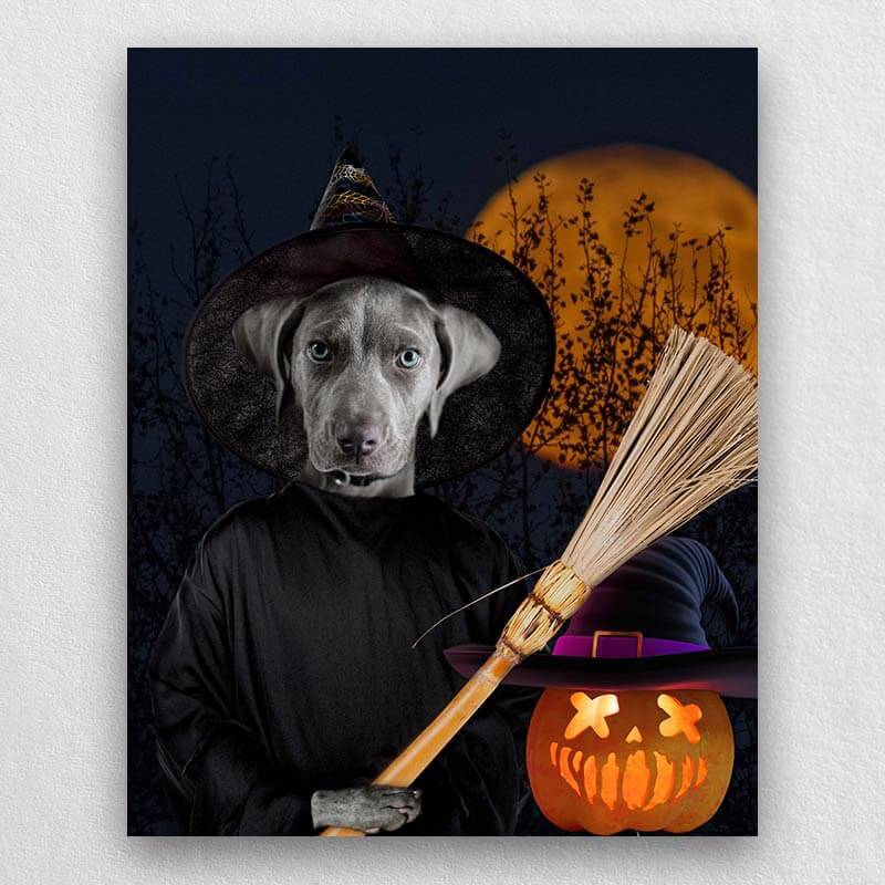 Halloween Fancy Animal Portraits Pet Into Painting