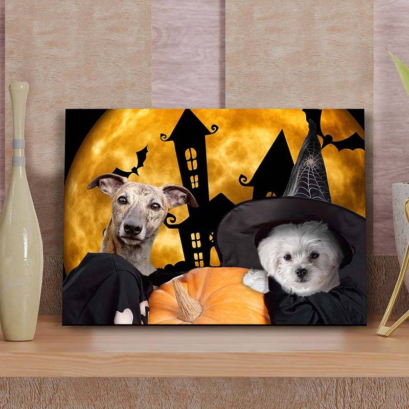 Creative Pet Portraits Halloween Gift Ideas