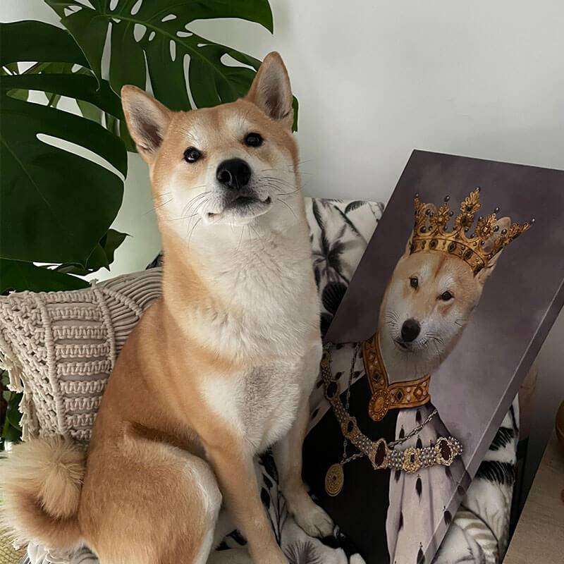 Best Royal King Custom Pet Portraits