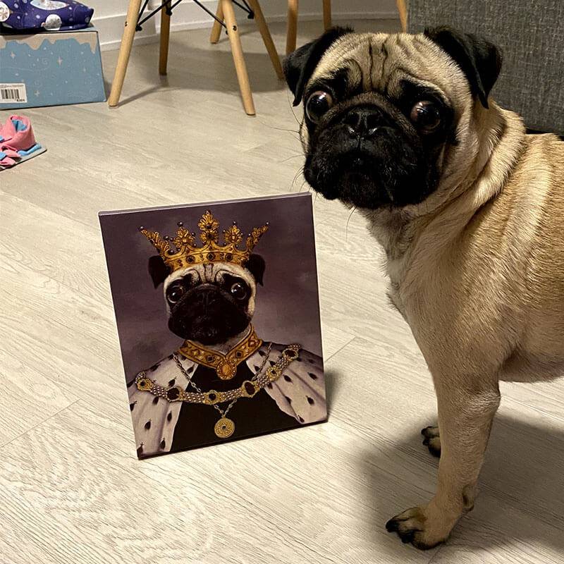 Best Royal King Custom Pet Portraits