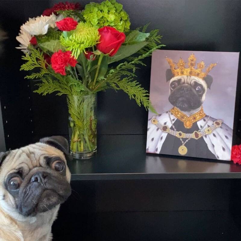 Best Royal King Custom Pet Portraits