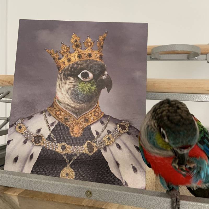 Best Royal King Custom Pet Portraits