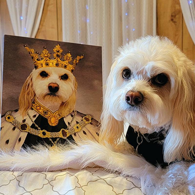 Best Royal King Custom Pet Portraits