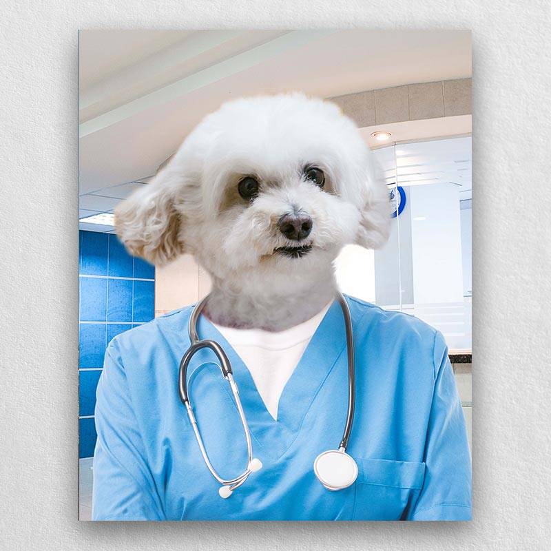 Pet Portraits Dressed Up As A Professional Surgeon