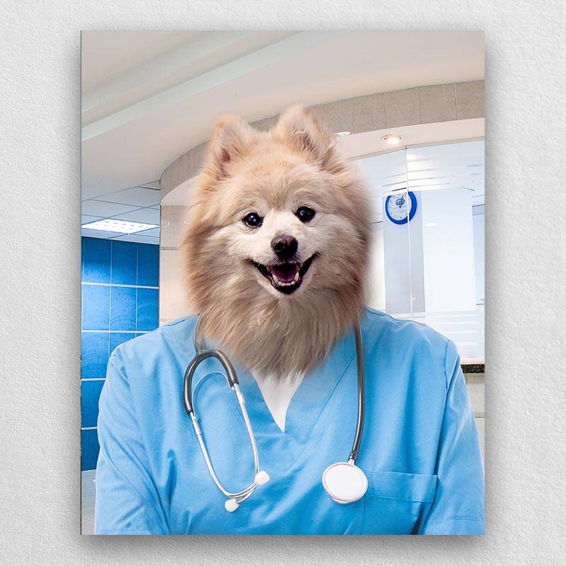 Pet Portraits Dressed Up As A Professional Surgeon